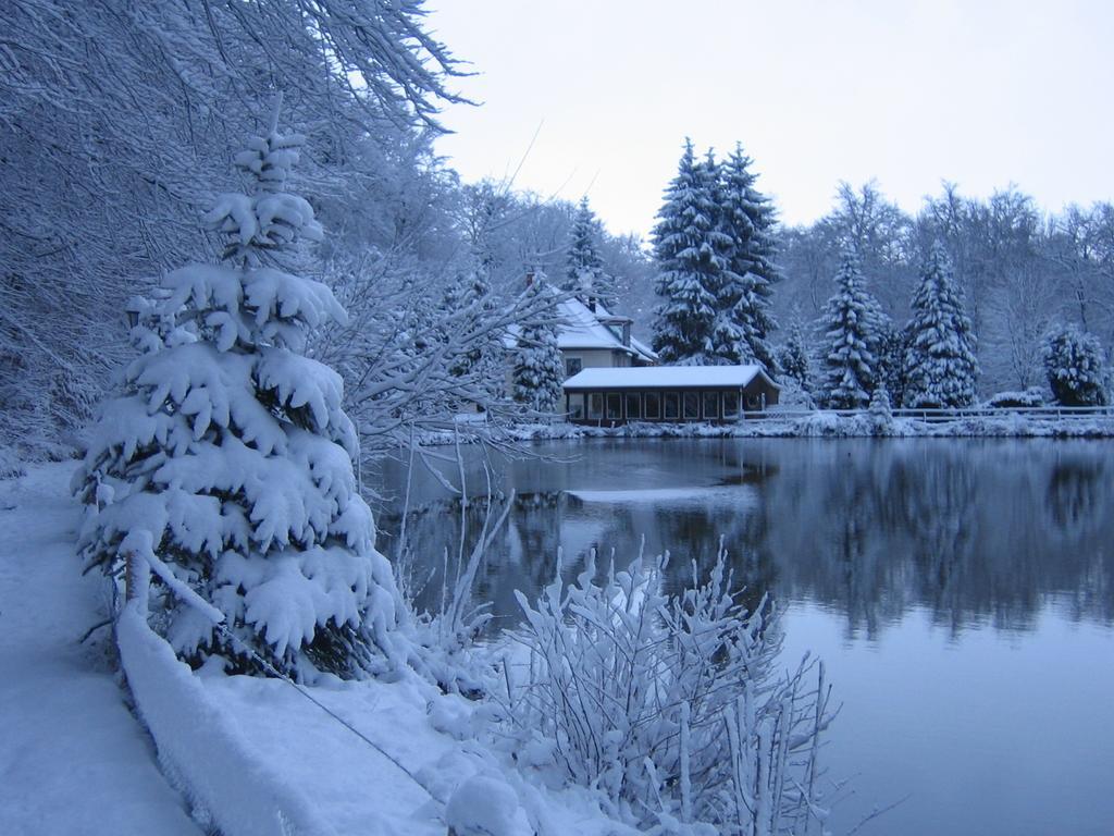 Waldhotel Zur Holzmuhle Eldagsen Екстериор снимка